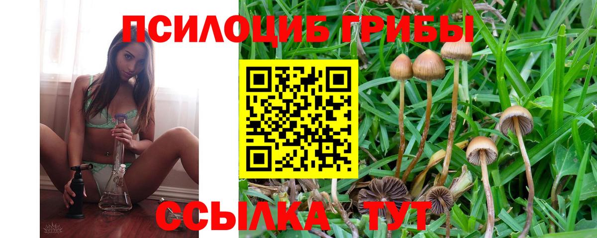 Галлюциногенные грибы GOLDEN TEACHER Шадринск